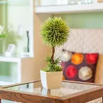 Appartement Ceyla 214 Arona (Tenerife)