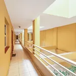 Ceyla 214 Appartement Arona (Tenerife)